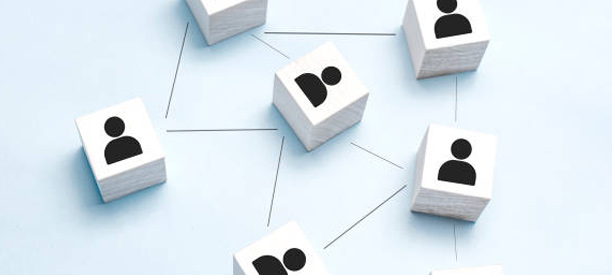 Perfil participantes